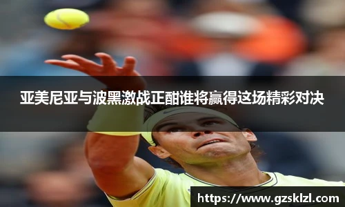 亚美尼亚与波黑激战正酣谁将赢得这场精彩对决
